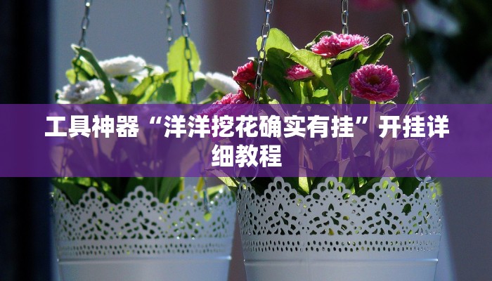 工具神器“洋洋挖花确实有挂”开挂详细教程