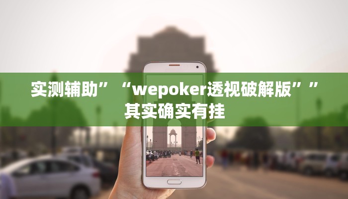 实测辅助”“wepoker透视破解版””其实确实有挂
