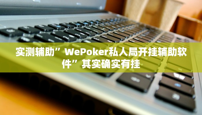 实测辅助”WePoker私人局开挂辅助软件”其实确实有挂
