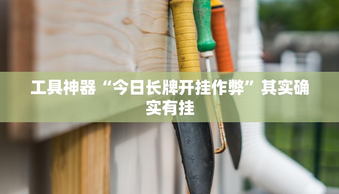 工具神器“今日长牌开挂作弊”其实确实有挂