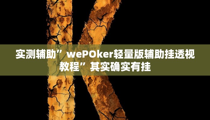 实测辅助”wePOker轻量版辅助挂透视教程”其实确实有挂