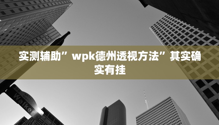 实测辅助”wpk德州透视方法”其实确实有挂
