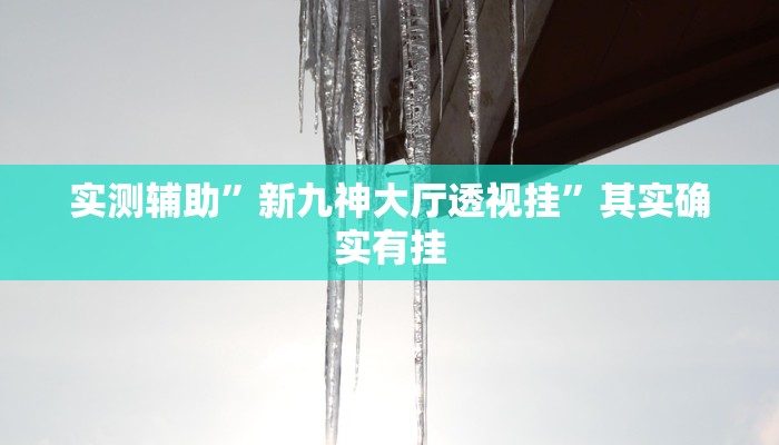 实测辅助”新九神大厅透视挂”其实确实有挂