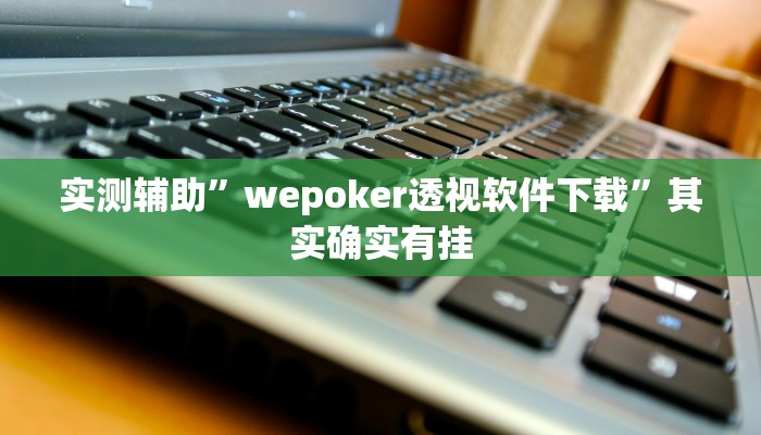 实测辅助”wepoker透视软件下载”其实确实有挂