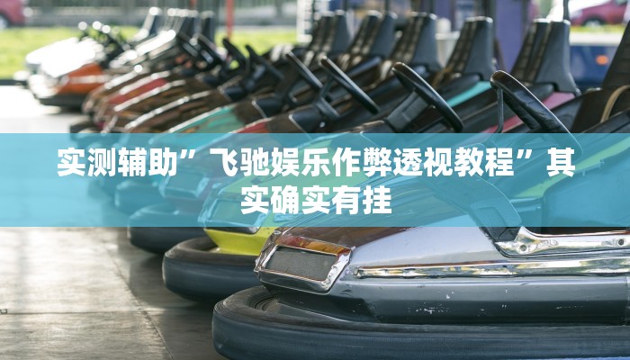 实测辅助”飞驰娱乐作弊透视教程”其实确实有挂