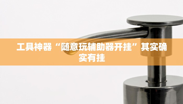工具神器“随意玩辅助器开挂”其实确实有挂