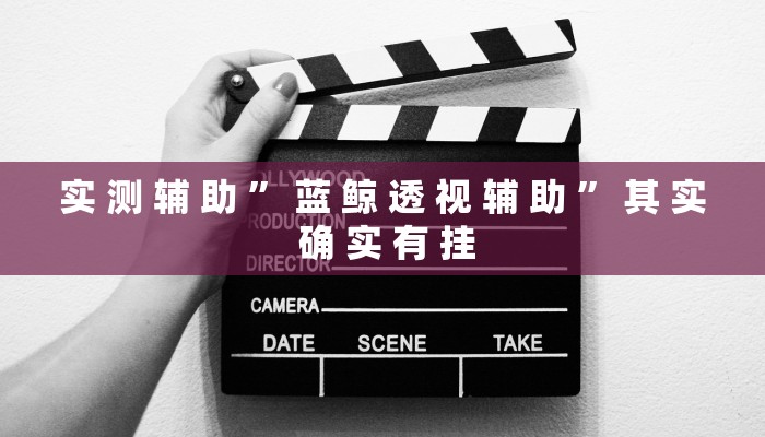 实 测 辅 助 ” 蓝 鲸 透 视 辅 助 ” 其 实 确 实 有 挂