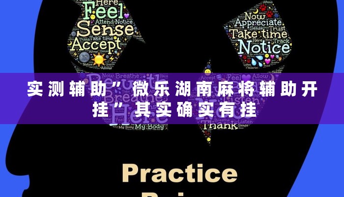 实 测 辅 助 ” 微 乐 湖 南 麻 将 辅 助 开 挂 ” 其 实 确 实 有 挂