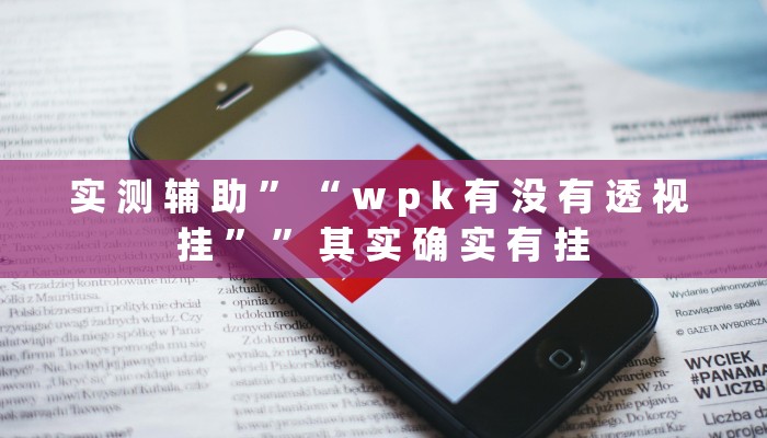 实 测 辅 助 ” “ w p k 有 没 有 透 视 挂 ” ” 其 实 确 实 有 挂