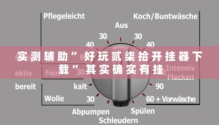 实 测 辅 助 ” 好 玩 贰 柒 拾 开 挂 器 下 载 ” 其 实 确 实 有 挂