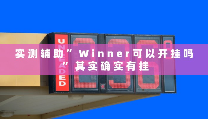实 测 辅 助 ” W i n n e r 可 以 开 挂 吗 ” 其 实 确 实 有 挂