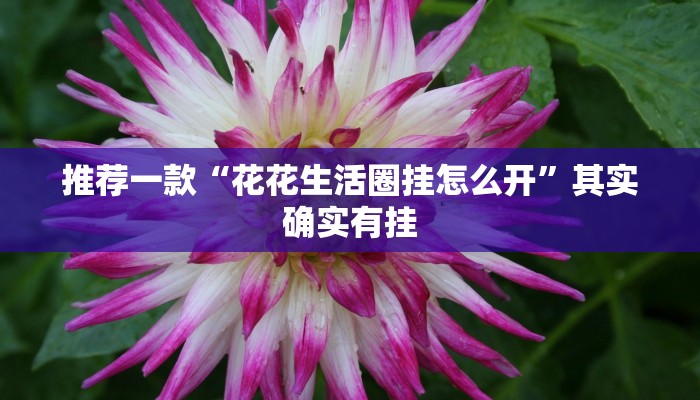 推荐一款“花花生活圈挂怎么开”其实确实有挂