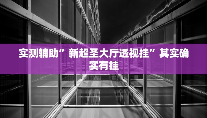 实测辅助”新超圣大厅透视挂”其实确实有挂