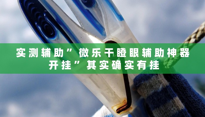 实 测 辅 助 ” W e p o K e r 辅 助 挂 软 件 ” 其 实 确 实 有 挂