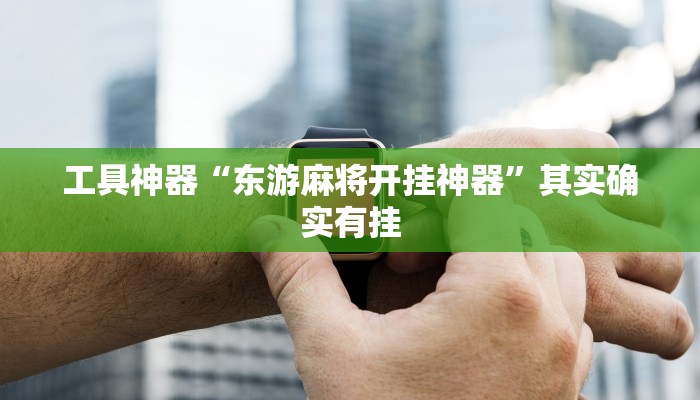 工具神器“东游麻将开挂神器”其实确实有挂