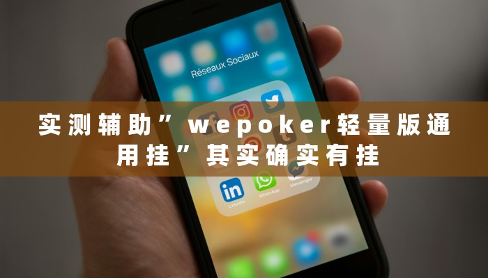 实 测 辅 助 ” w e p o k e r 轻 量 版 通 用 挂 ” 其 实 确 实 有 挂
