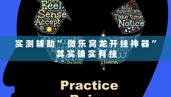 实 测 辅 助 ” 微 乐 窝 龙 开 挂 神 器 ” 其 实 确 实 有 挂