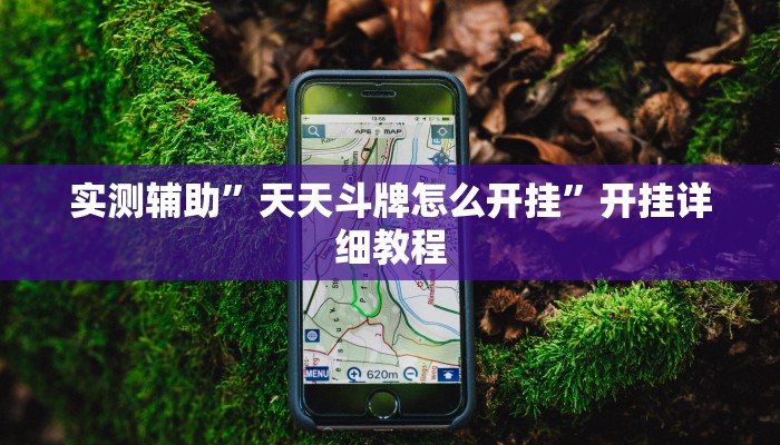 实测辅助”天天斗牌怎么开挂”开挂详细教程