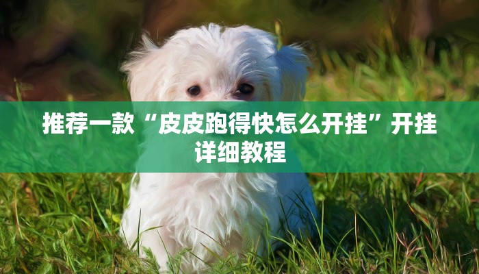 推荐一款“皮皮跑得快怎么开挂”开挂详细教程