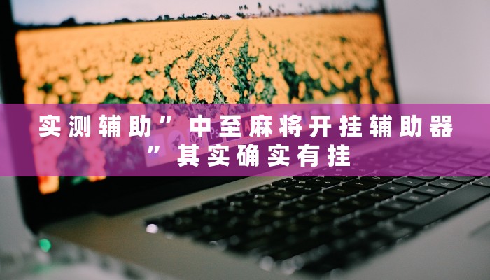 实 测 辅 助 ” 中 至 麻 将 开 挂 辅 助 器 ” 其 实 确 实 有 挂