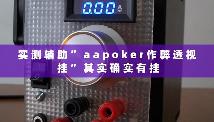 实 测 辅 助 ” a a p o k e r 作 弊 透 视 挂 ” 其 实 确 实 有 挂