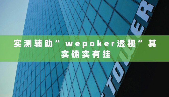 实 测 辅 助 ” w e p o k e r 透 视 ” 其 实 确 实 有 挂