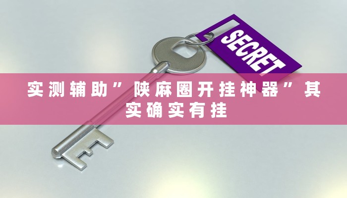 实 测 辅 助 ” 陕 麻 圈 开 挂 神 器 ” 其 实 确 实 有 挂