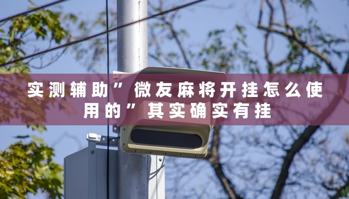 实 测 辅 助 ” 微 友 麻 将 开 挂 怎 么 使 用 的 ” 其 实 确 实 有 挂