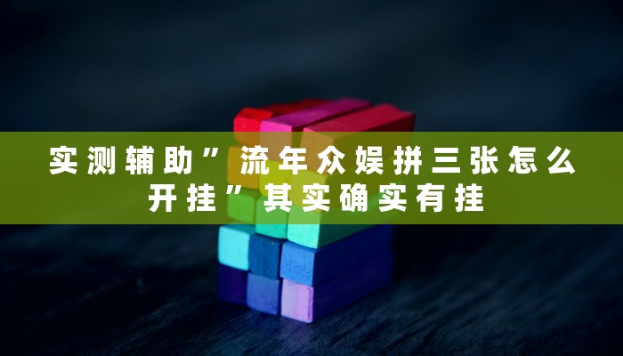 实测辅助”wepoker德州局透视挂作弊辅助方法”其实确实有挂