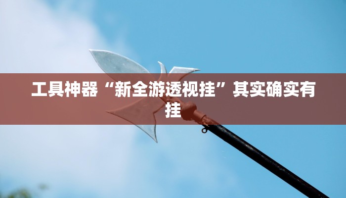 工具神器“新全游透视挂”其实确实有挂