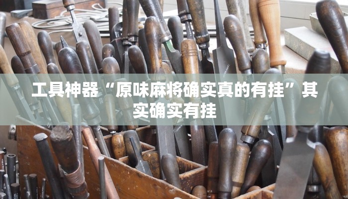 工具神器“原味麻将确实真的有挂”其实确实有挂