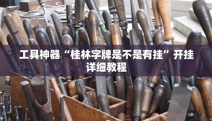 工具神器“桂林字牌是不是有挂”开挂详细教程