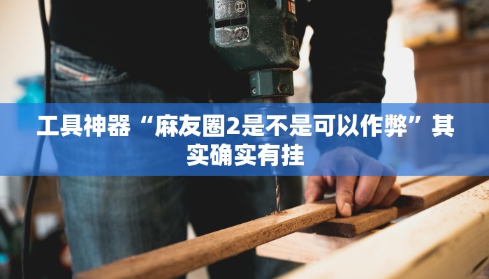 工具神器“麻友圈2是不是可以作弊”其实确实有挂