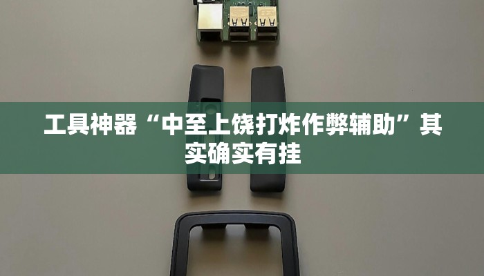 工具神器“中至上饶打炸作弊辅助”其实确实有挂
