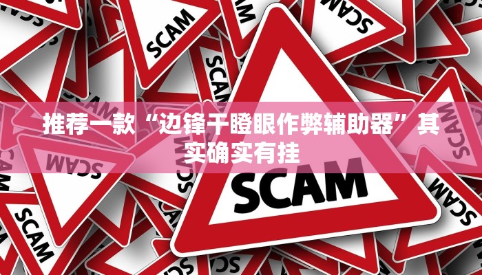 推荐一款“边锋干瞪眼作弊辅助器”其实确实有挂