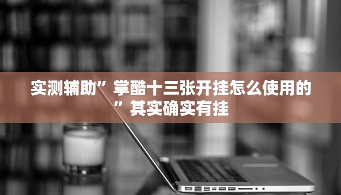 实测辅助”掌酷十三张开挂怎么使用的”其实确实有挂