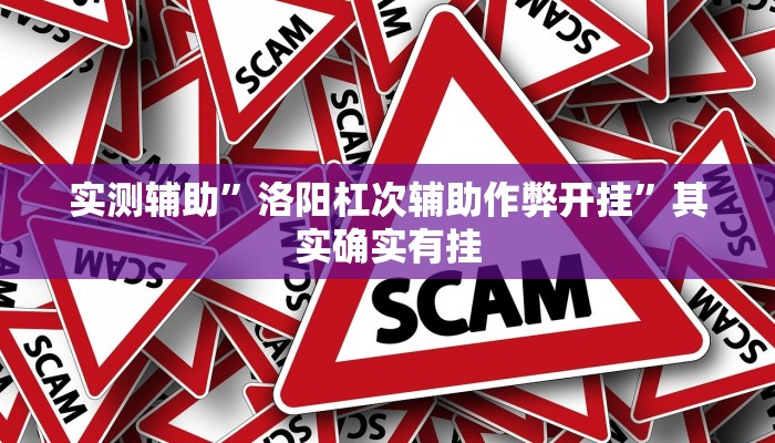 实测辅助”洛阳杠次辅助作弊开挂”其实确实有挂