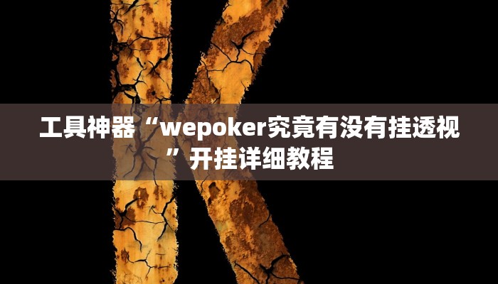 工具神器“wepoker究竟有没有挂透视”开挂详细教程