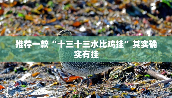 推荐一款“十三十三水比鸡挂”其实确实有挂