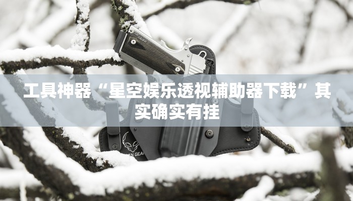 工具神器“星空娱乐透视辅助器下载”其实确实有挂