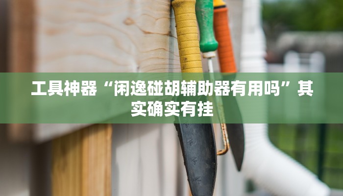 工具神器“闲逸碰胡辅助器有用吗”其实确实有挂