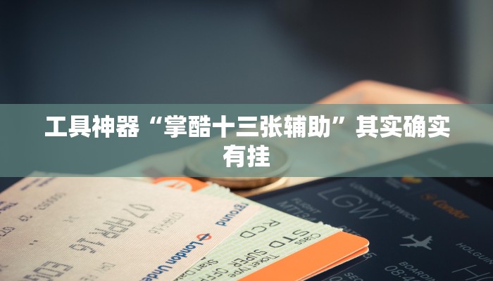 工具神器“掌酷十三张辅助”其实确实有挂