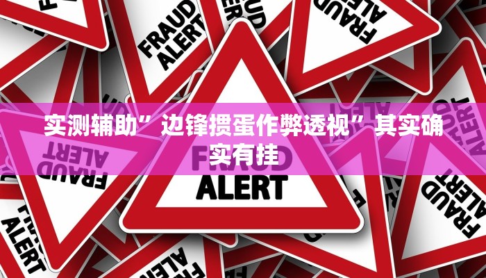 实测辅助”边锋掼蛋作弊透视”其实确实有挂