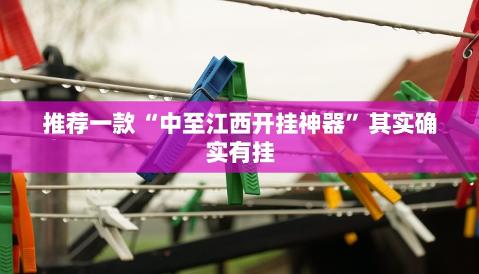 推荐一款“中至江西开挂神器”其实确实有挂