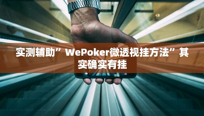 实测辅助”WePoker微透视挂方法”其实确实有挂