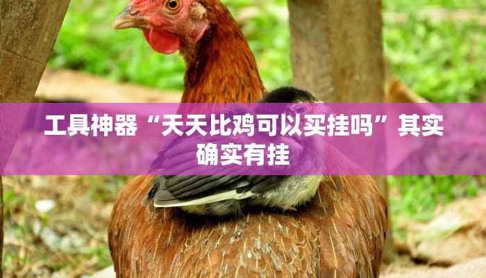 工具神器“天天比鸡可以买挂吗”其实确实有挂
