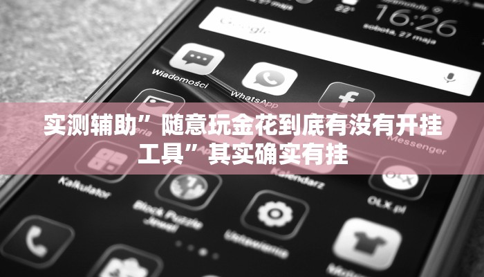 实测辅助”随意玩金花到底有没有开挂工具”其实确实有挂