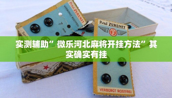 实测辅助”微乐河北麻将开挂方法”其实确实有挂