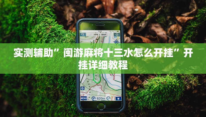 实测辅助”闽游麻将十三水怎么开挂”开挂详细教程