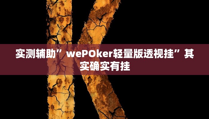 实测辅助”wePOker轻量版透视挂”其实确实有挂